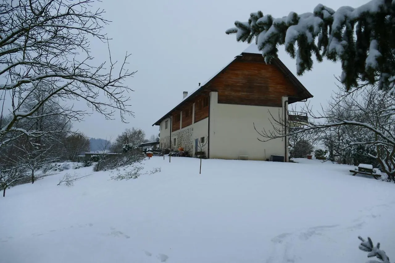 Holiday home La Ferme Du Parroi Villa Annecy